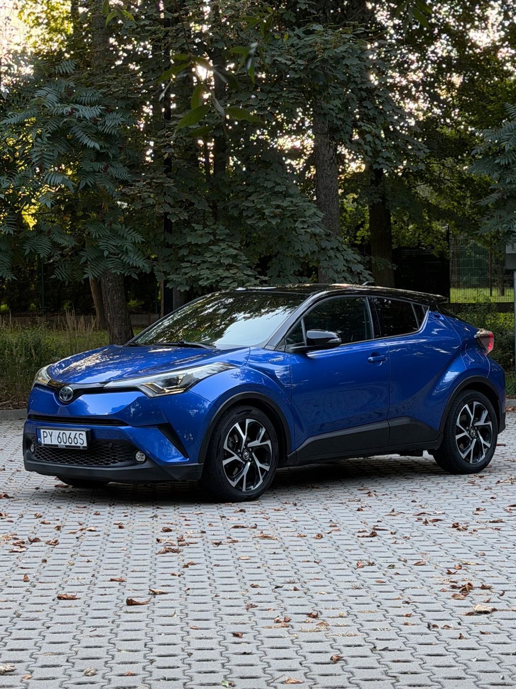 Toyota C-HR Hybrid/Bogata wersja/Niski Przebieg/Zadbany