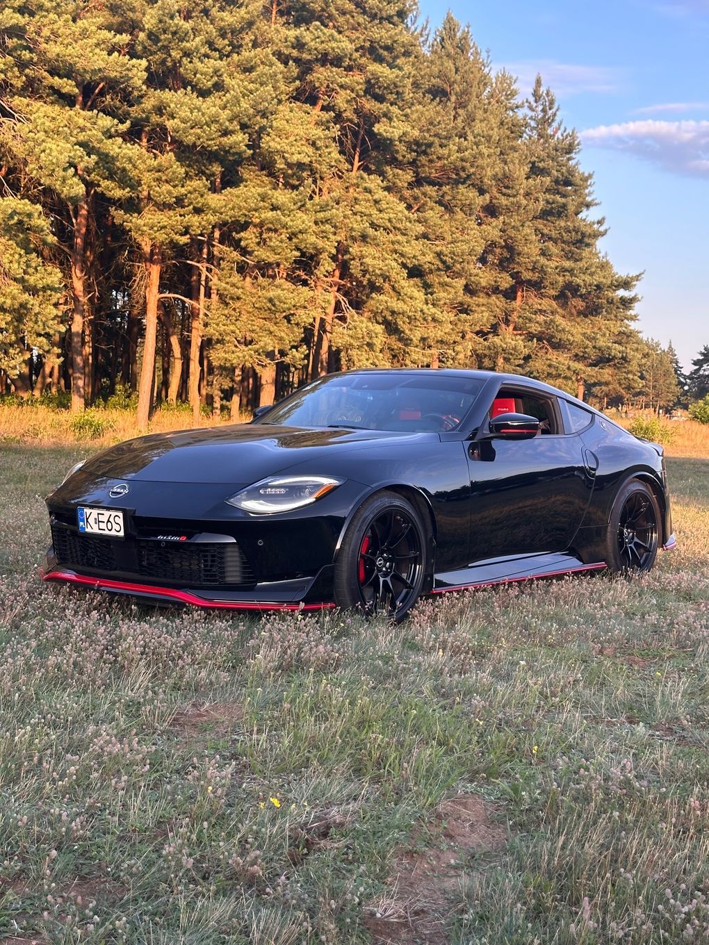 Nissan 3.0 Petrol 2024