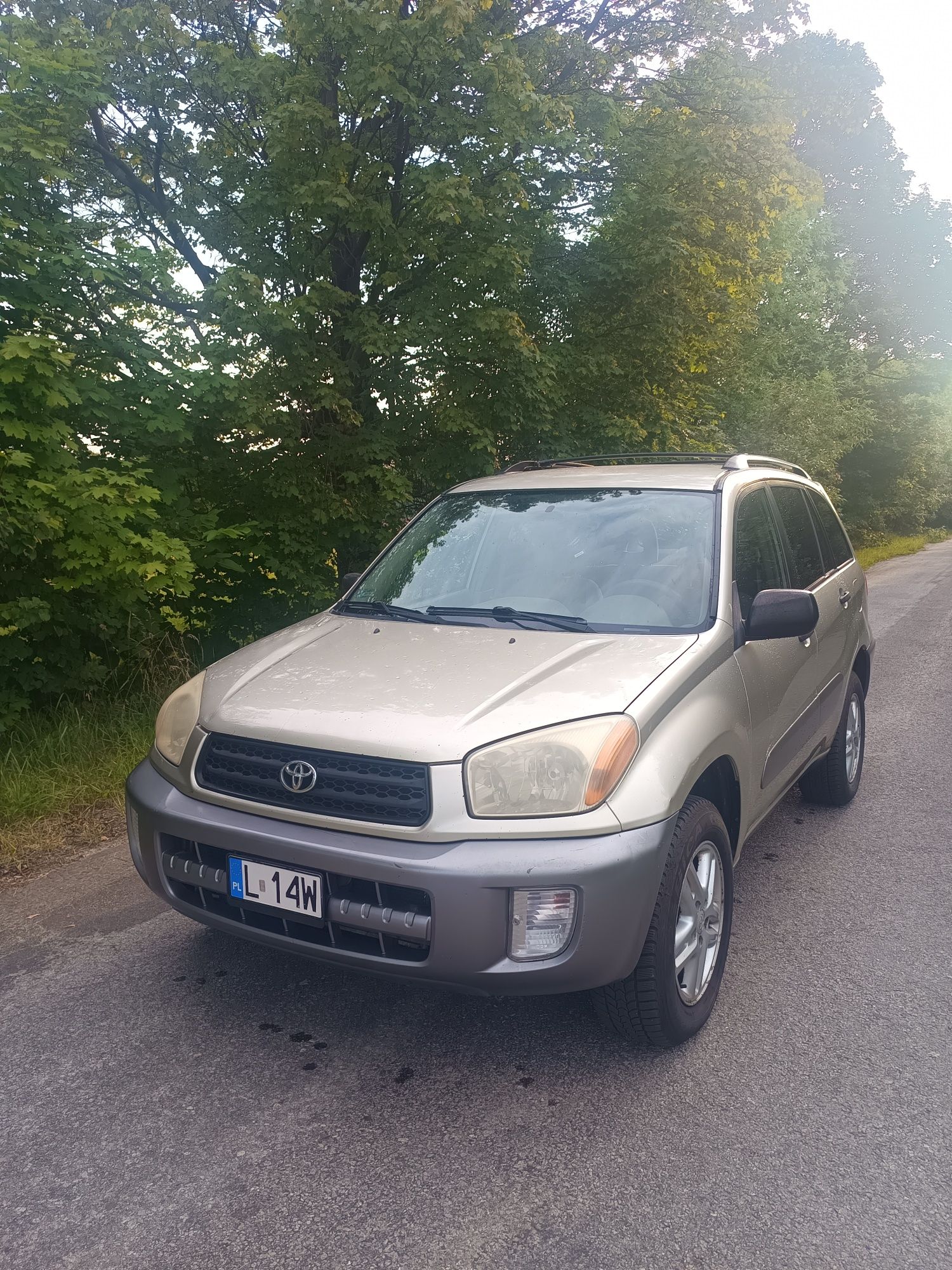 Toyota RAV-4 2.0 LPG 2001