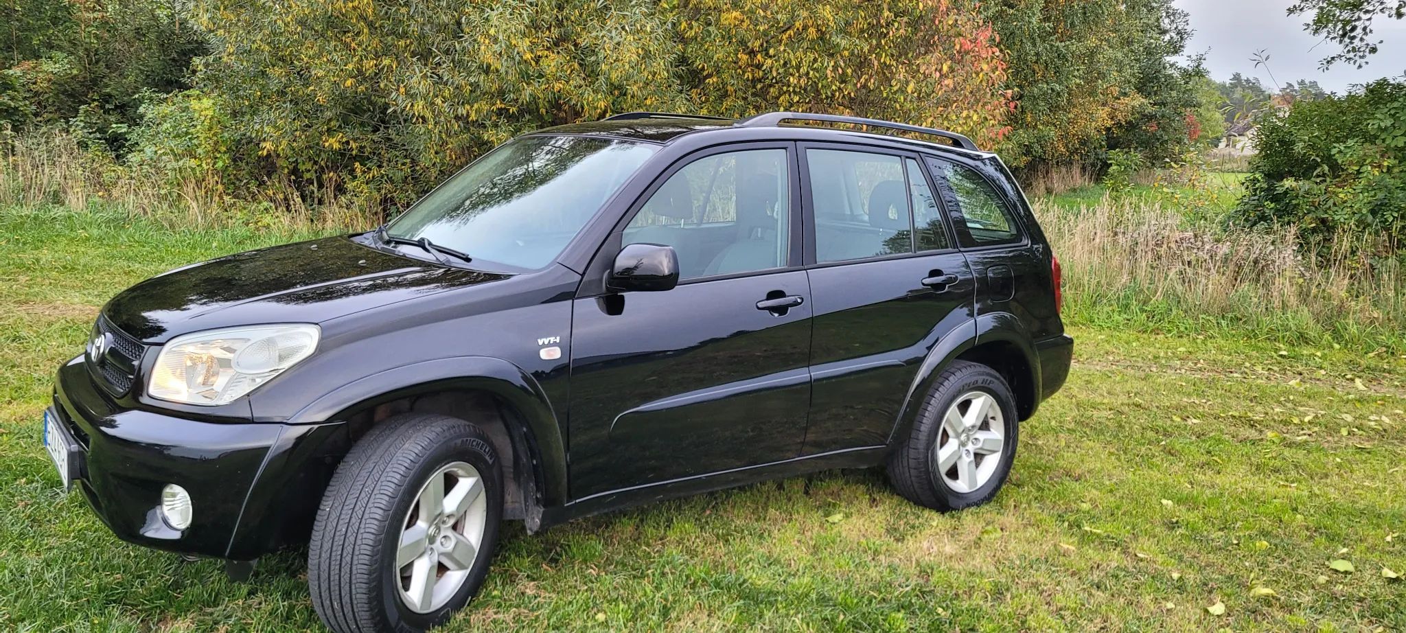 Toyota RAV-4 2.0 Petrol 4x4 2004