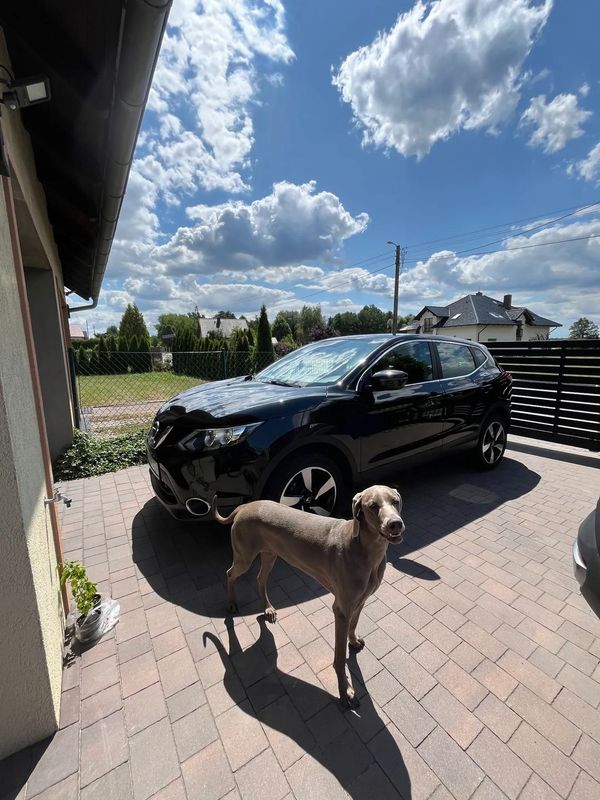 Nissan Qashqai 1.2 Petrol 2017