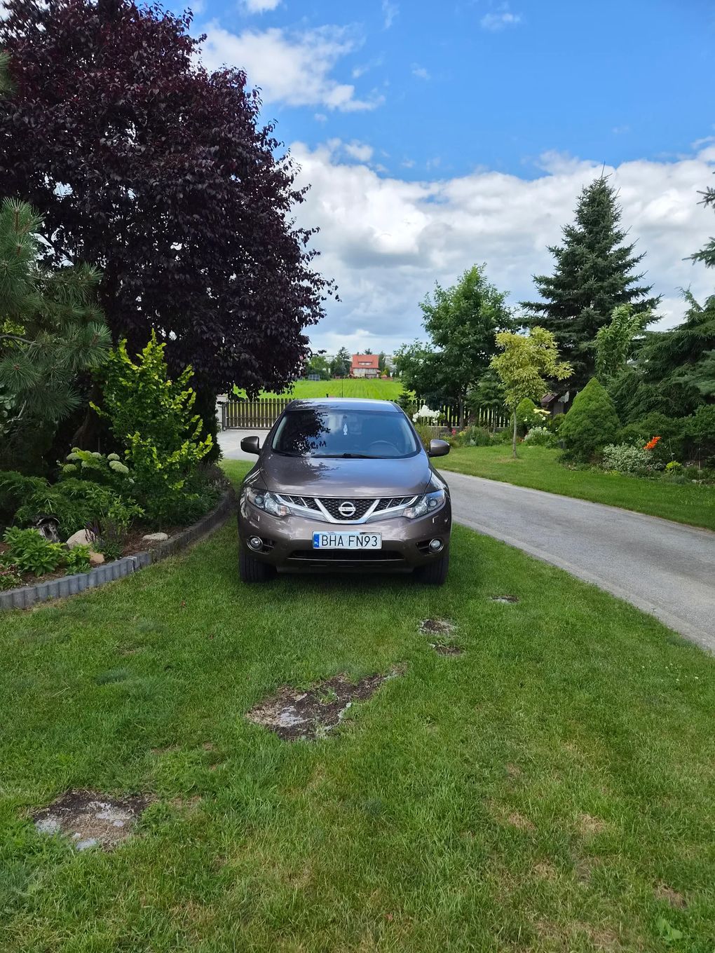 Nissan Murano Nissan Murano B+G 2013.