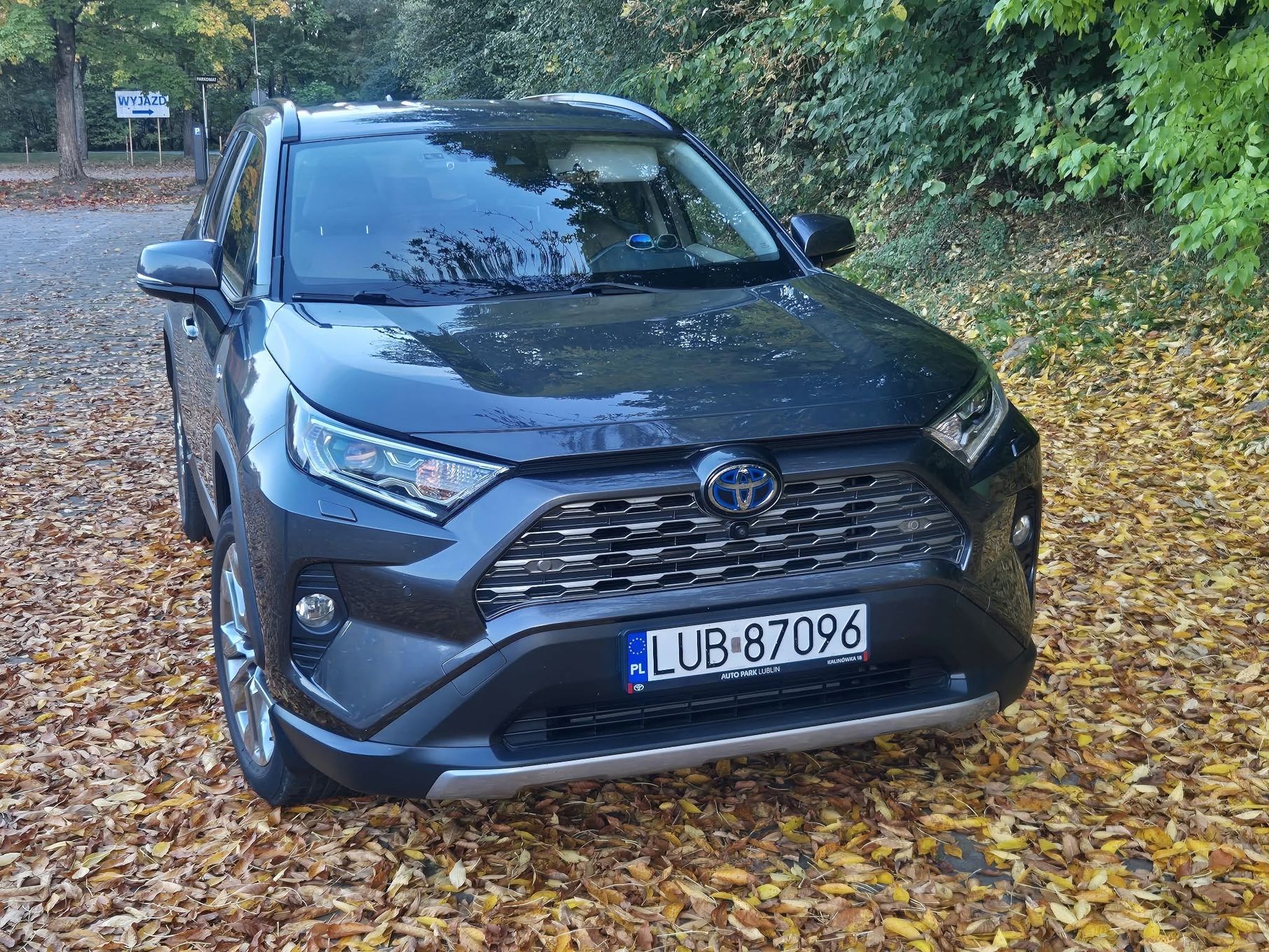 Toyota RAV-4 2.5 Hybrid 4x4 2020