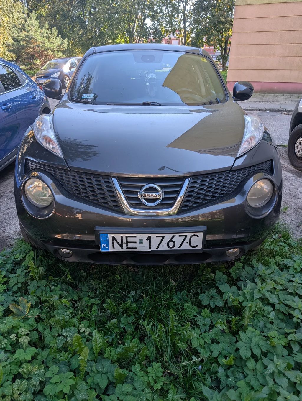 Nissan Juke 1.6 Petrol 2010