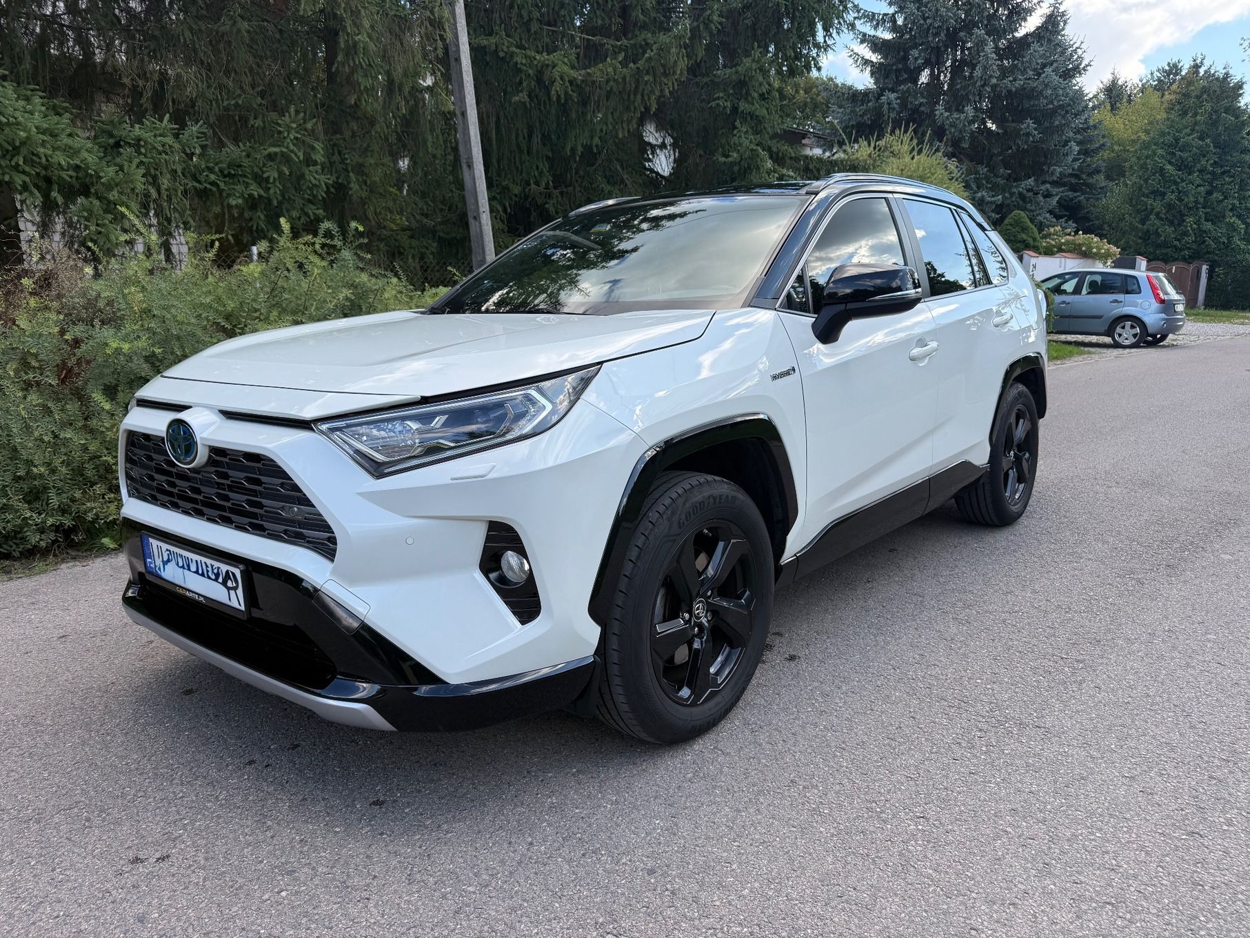 Toyota RAV-4 2.5 Hybrid 2019