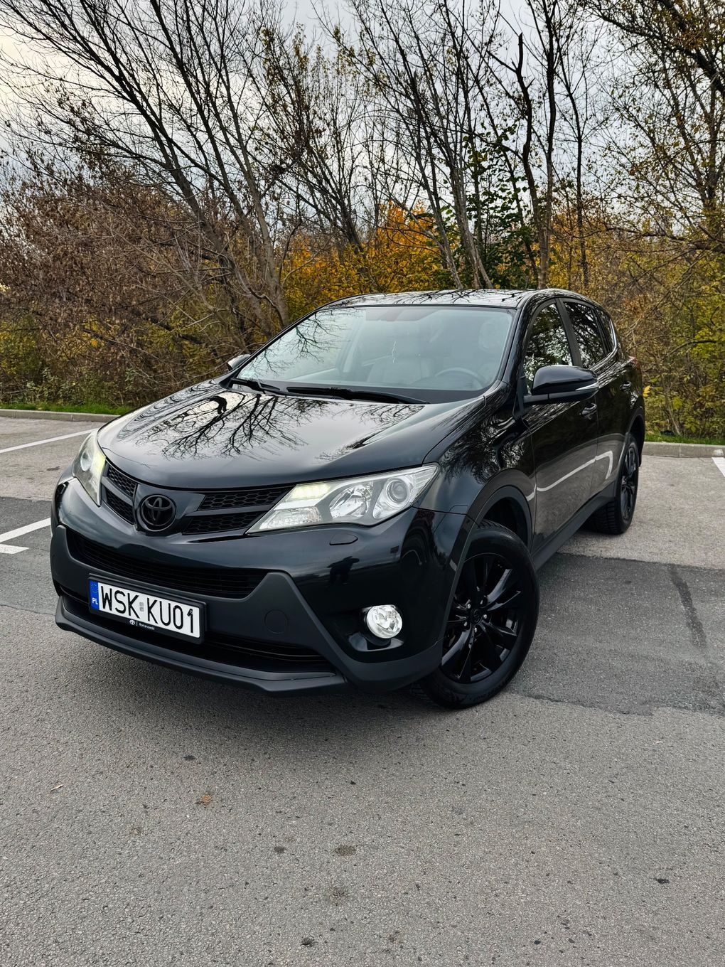 Toyota RAV-4 2.2 Diesel 2013