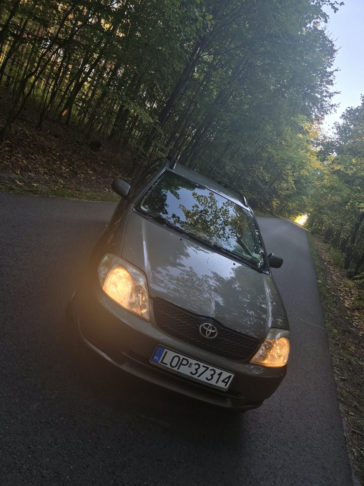 Toyota corolla e12