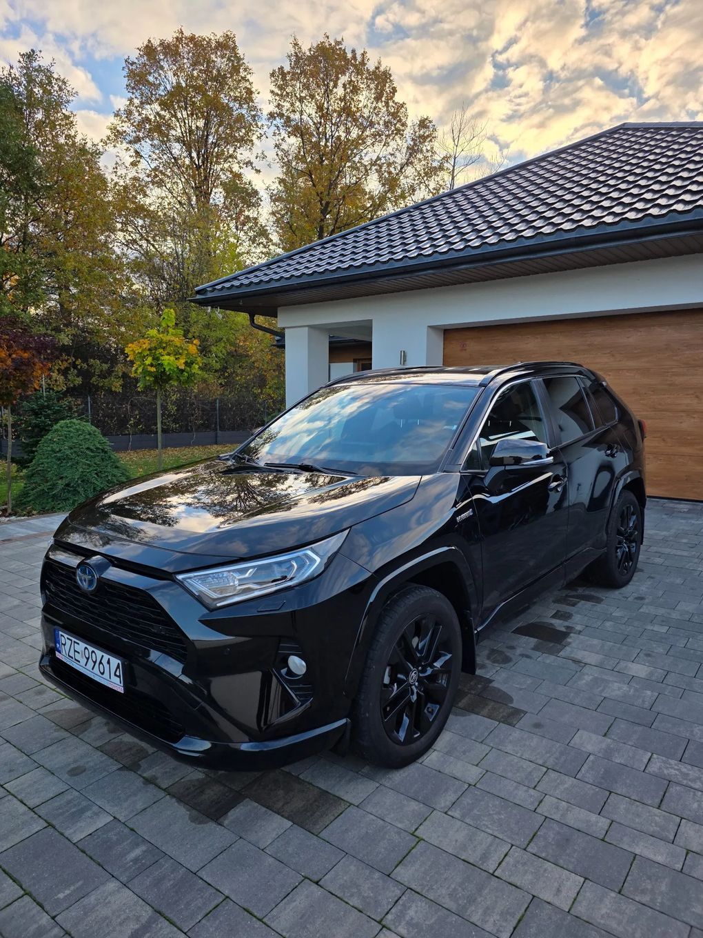 Toyota RAV-4 2.5 Hybrid 4x4 2021