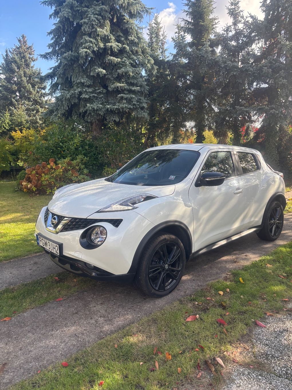 Nissan Juke 1.2 Petrol 2017