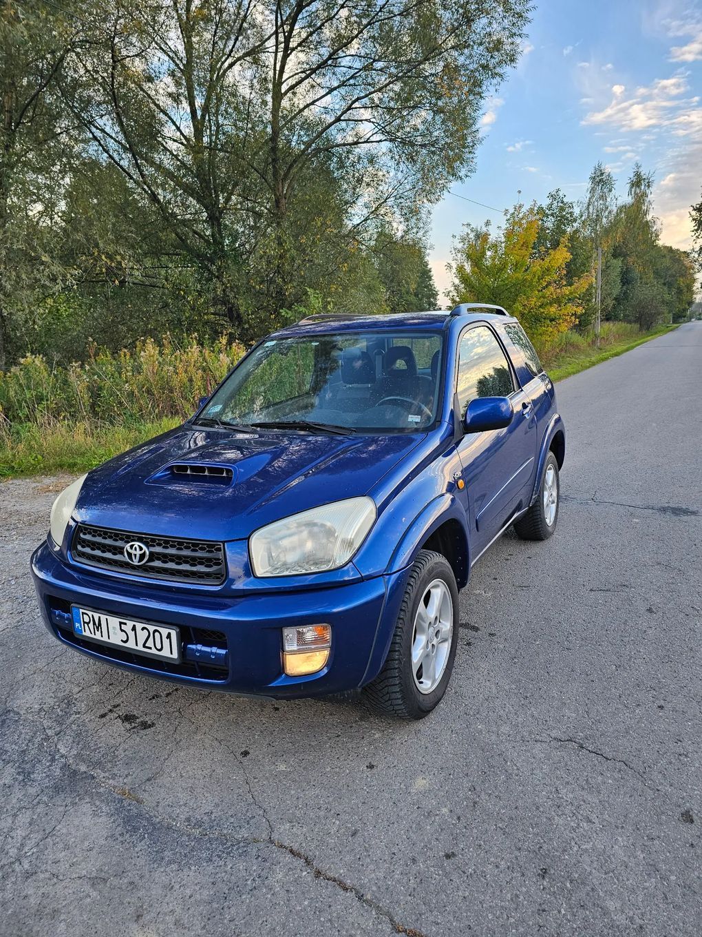 Toyota RAV-4 2.0 Diesel 2002