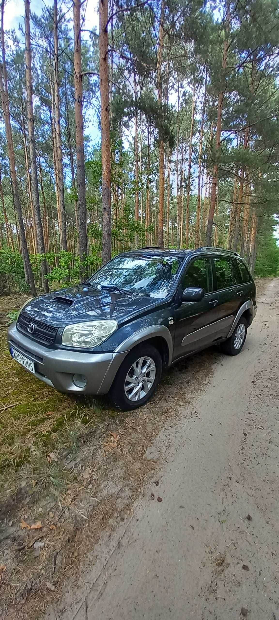 Toyota Rav4 Lift 2.0 D4D 116km Without Rust. No Extra Cost. Everything Working